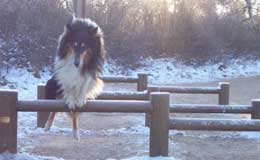 Lancelot fait du sport