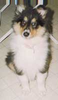 Lancelot qq mois