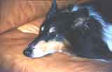 Lancelot dort