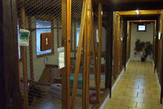 maison pour recvoir les chats