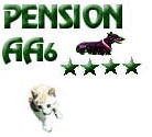 Accéder au site de la pension pour chiens et chats à côté de Nemours 77